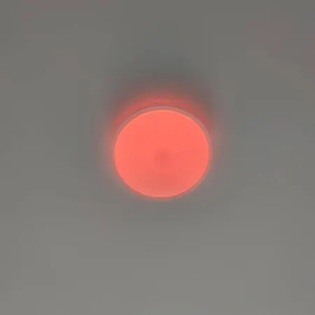 Botanic Garden Private Séjour chez l'habitant Wrocław